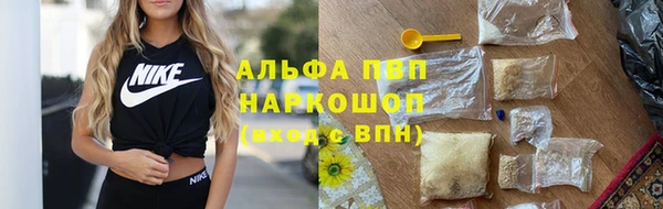 прущие грибы Чекалин