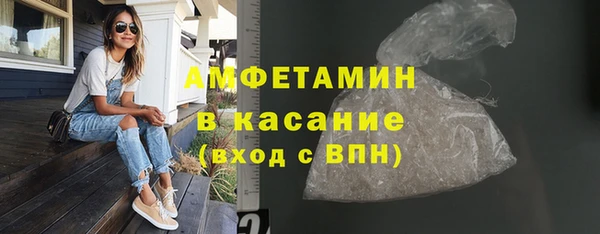 прущие грибы Чекалин