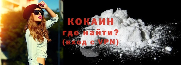 прущие грибы Чекалин