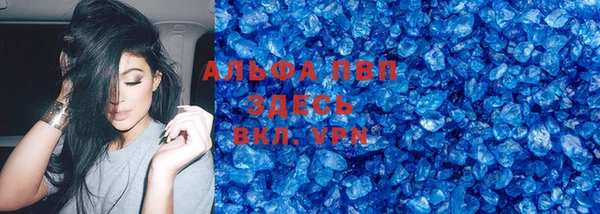 прущие грибы Чекалин