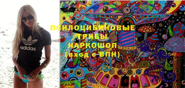 ALPHA PVP Чегем