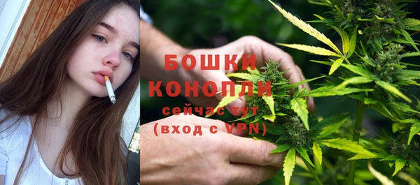 прущие грибы Чекалин