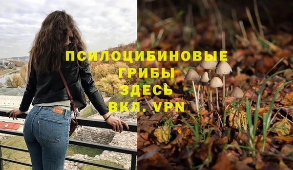 амф Чердынь