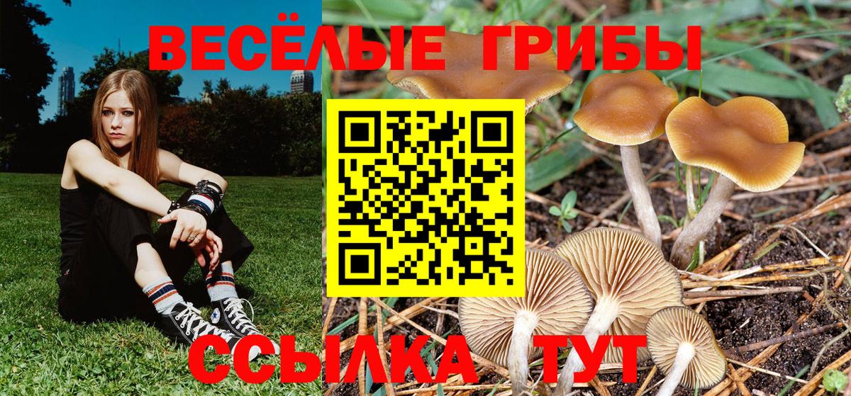 Псилоцибиновые грибы прущие грибы Керчь
